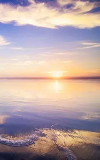 世间百态皆浑浊,唯有初心独清澈的意思(2)