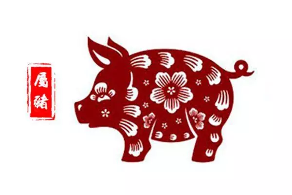 属猪人2023年兔年运势男性怎么样呢(5)