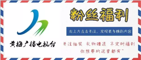 银婚是多少年金婚又是多少年(5)