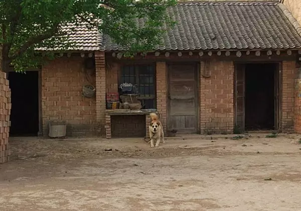 女人梦见狗吃自己的骨头什么意思周公解梦(12)