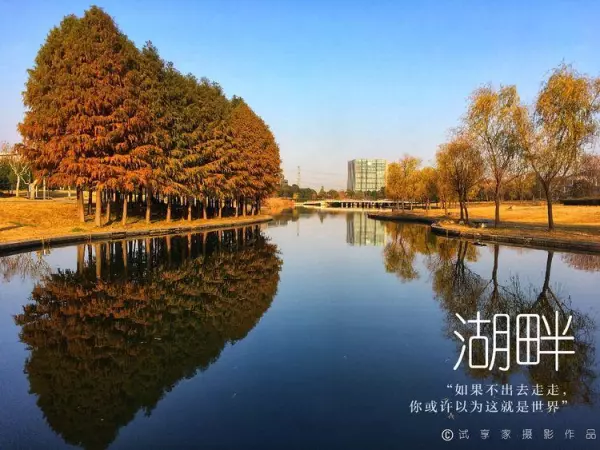 在命运安排的属于自己的时区配音(5)