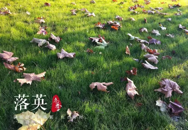 在命运安排的属于自己的时区配音(8)