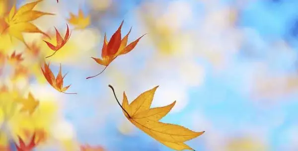 命运从来就没有掌握在自己手中的说说(1)