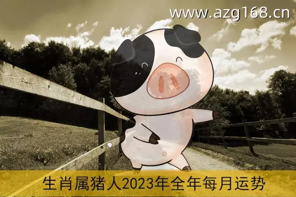 属猪的在2023年的整体运势怎么样呀女生(1)
