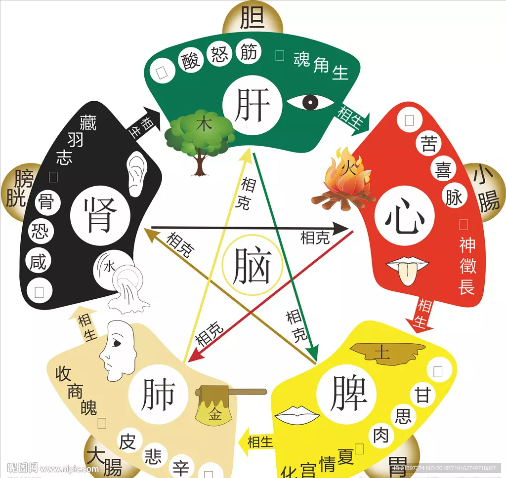 1996年九月初八出生五行属什么命运呢(2)