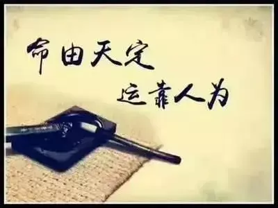 对于命运无常这本书翻译的探讨怎么写作文(4)