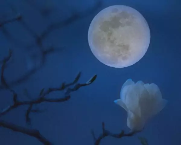 贝多芬命运交响曲是哪个世纪的故事啊(1)