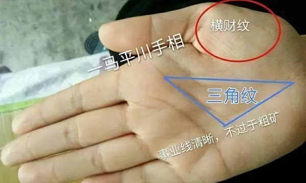 命运线与智慧线之间有三角形纹路好不好(2)