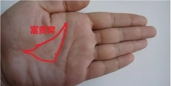 命运线与智慧线之间有三角形纹路好不好(3)
