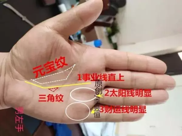 玉柱纹手相中关乎人生运势的纹理是什么(2)
