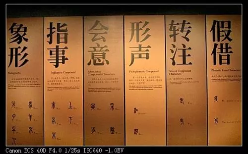 园的部首和结构都是什么(6)