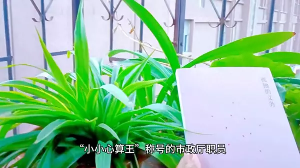 妹妹的义务第36话攸关命运的胜负土豪(1)