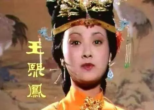 红楼梦人物命运和表达的艺术特色是什么(7)