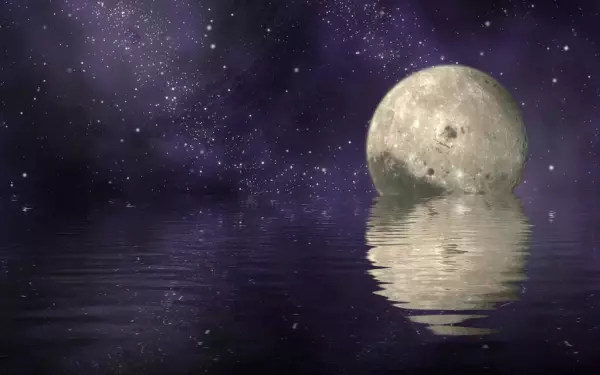 十二星座火象星座有哪些(2)