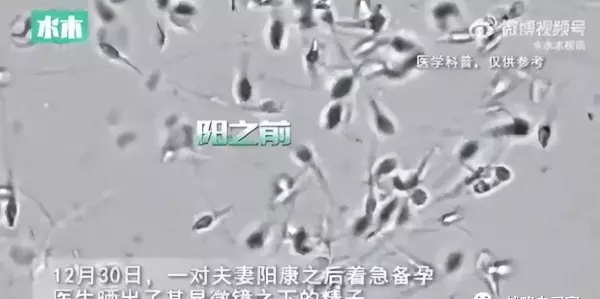 地球上什么地方出生率最高打一生肖(2)