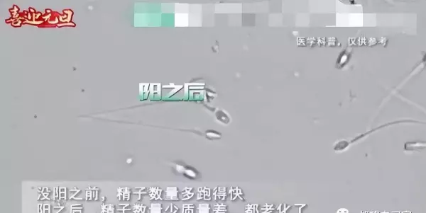 地球上什么地方出生率最高打一生肖(3)