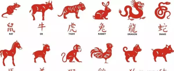 地球上什么地方出生率最高打一生肖(6)