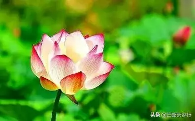 前世今生命运轮回下一句怎么接的呢(4)