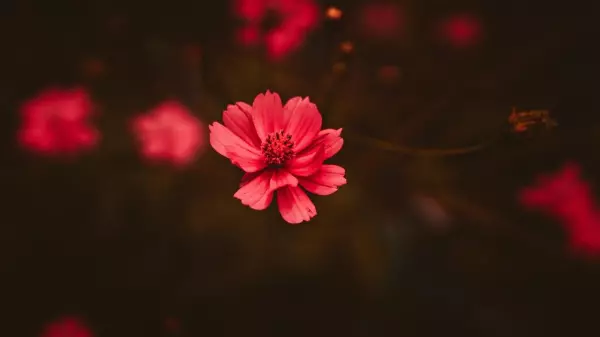 两个相爱的人一直被命运捉弄怎么办呢(1)