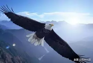 一个人的气度决定了一个人的命运英文怎么说(4)