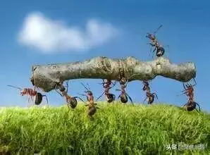一个人的气度决定了一个人的命运英文怎么说(5)