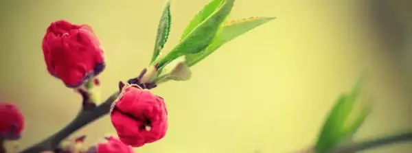 解释人遇福祸的易经篇章是哪一章呢(10)