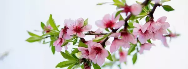解释人遇福祸的易经篇章是哪一章呢(6)