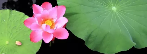 解释人遇福祸的易经篇章是哪一章呢(9)