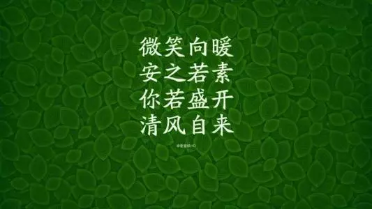 妍花的丽蝶是什么意思(2)