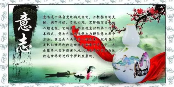 妍花的丽蝶是什么意思(5)