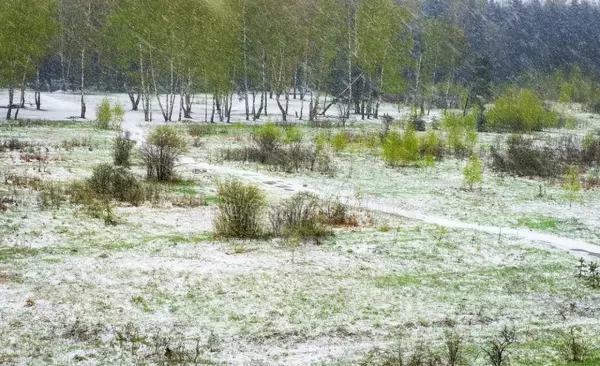 2022年小满是几月几日(2)