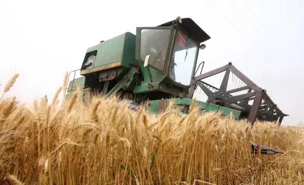 2022年小满是几月几日(3)