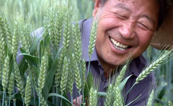 2022年小满是几月几日(4)