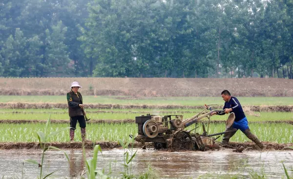 2022年小满是几月几日(5)