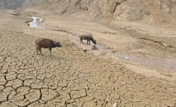 2022年小满是几月几日(6)