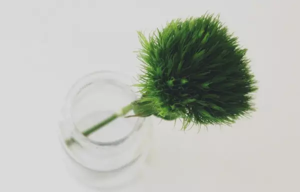 已婚白羊女下半年感情运势怎么样呢(4)