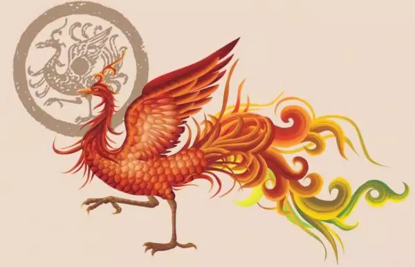 梦见银色凤凰在天上飞是什么征兆呢周公解梦女人(1)