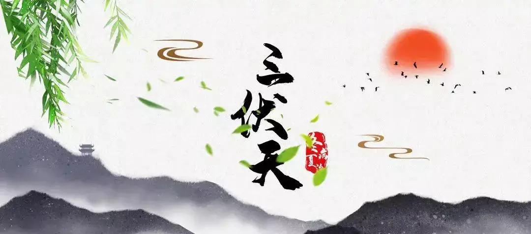 入伏天吃饺子吗(1)