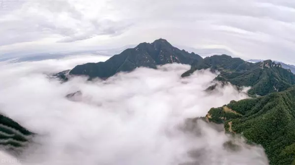 正月初十午时生的狗宝宝命运怎么样呀(13)