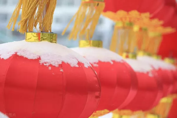 正月初十午时生的狗宝宝命运怎么样呀(5)
