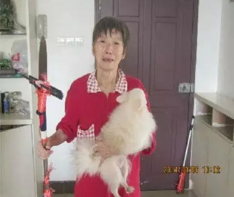 小婷562现在的微博没有了吗(14)