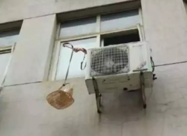 小婷562现在的微博没有了吗(16)
