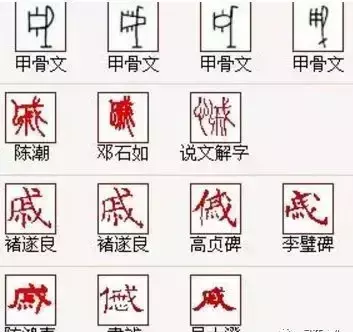 戚这个姓氏怎么读(9)