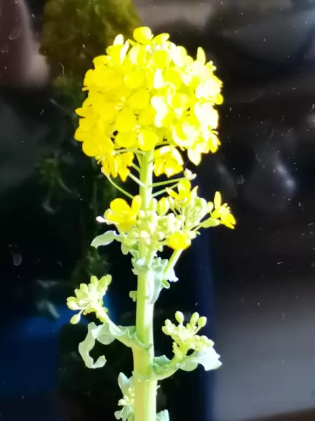 人生命运各不同,但求屹立天地中(4)