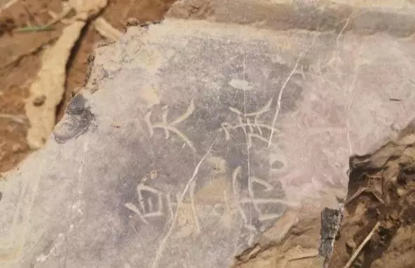 想象陶罐被掘出后会是怎样的命运300字(6)