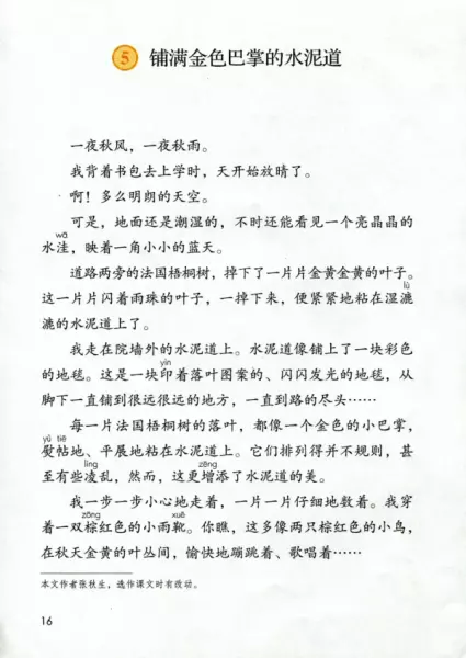 水洼的意思三年级铺满金色巴掌的水泥道(1)