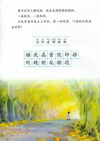 水洼的意思三年级铺满金色巴掌的水泥道(2)