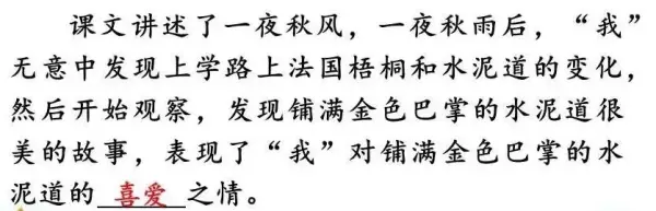 水洼的意思三年级铺满金色巴掌的水泥道(33)