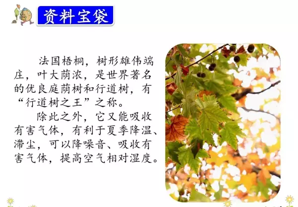 水洼的意思三年级铺满金色巴掌的水泥道(36)