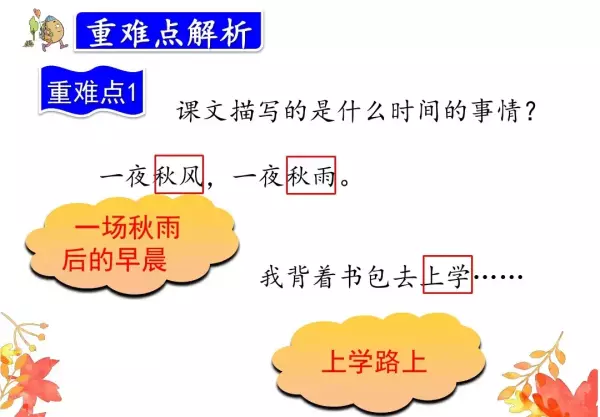 水洼的意思三年级铺满金色巴掌的水泥道(53)